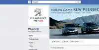 Peugeot Monterrey